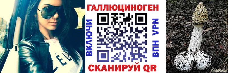 Псилоцибиновые грибы MAGIC MUSHROOMS  наркота  Андреаполь 